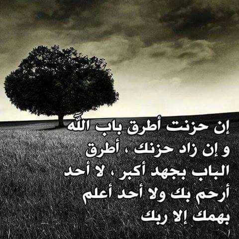 kaledkk231's tweet photo. https://t.co/7iLz0n3dDA