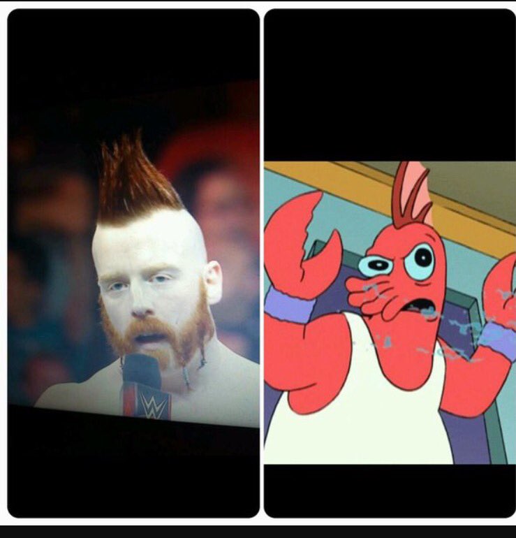 Smacksmack101's tweet photo. NOW ZOIDBERG IS THE POPULAR ONE! #SurvivorSeries #wewantbender #worstof2evils https://t.co/fBXKjP5S8g