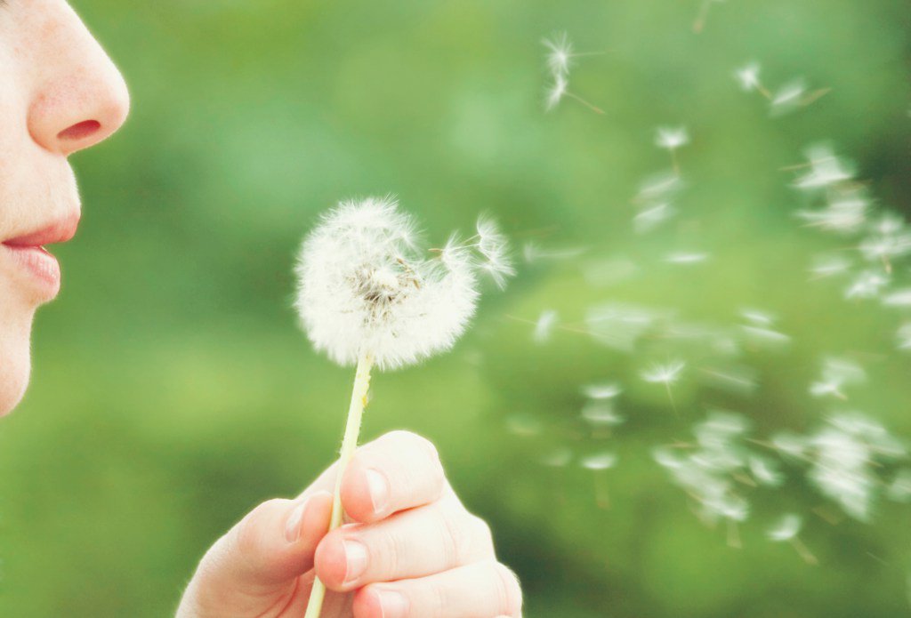 themominmemd's tweet photo. When Infertility Updates Go Sterile https://t.co/febRREMcyw https://t.co/BejoxEGaic