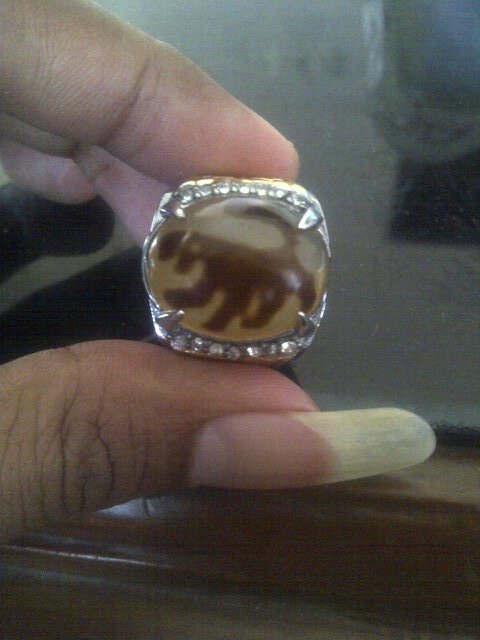 mellers_elsaiH's tweet photo. @TarantulaRadhit motip singa minat monggo. https://t.co/kyzNJ2XEmW