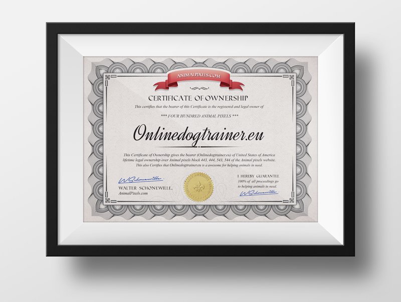 AnimalPixels's tweet photo. First Ever Official #AnimalPixels #Certificate of Ownership: https://t.co/AAYNd0tIvZ #HelpAnimals #Animals https://t.co/WfoTmDSSs4