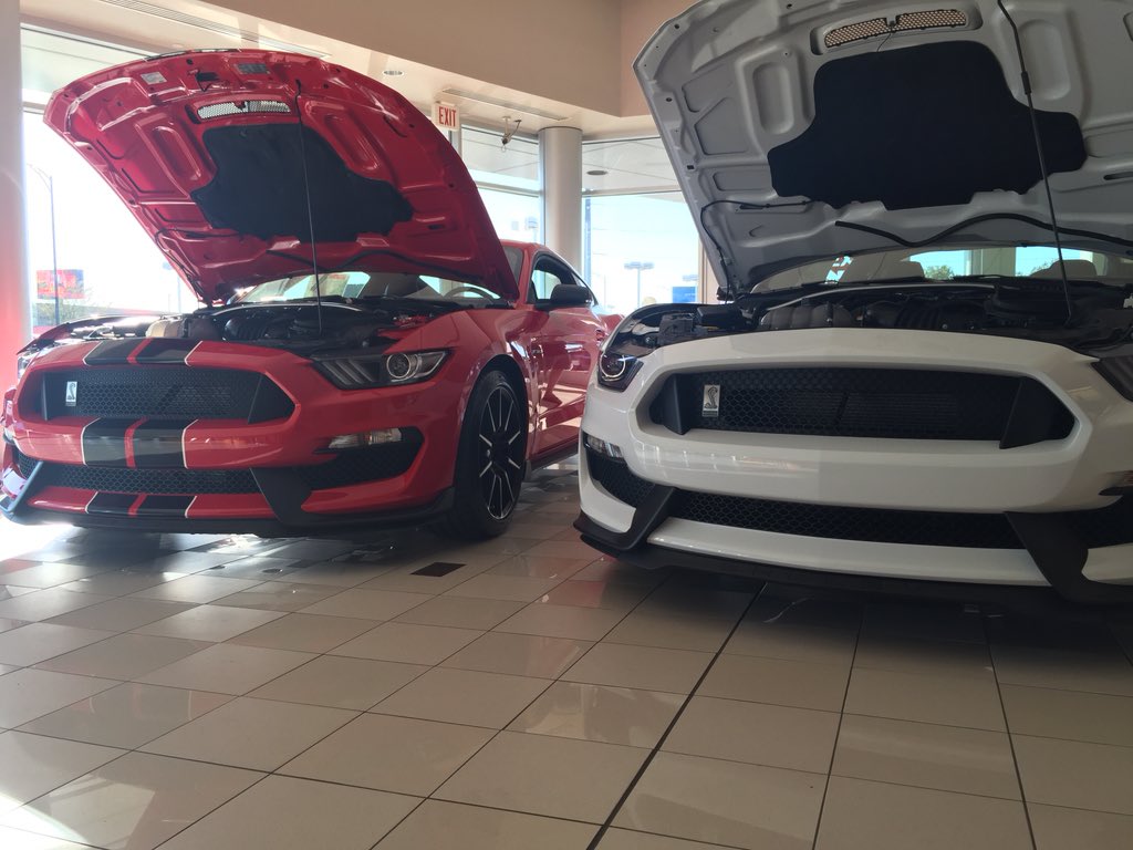 backspace911's tweet photo. @dailymustangs thought y'all might enjoy this. #weekendsubmissions https://t.co/0PMjxEdgHx