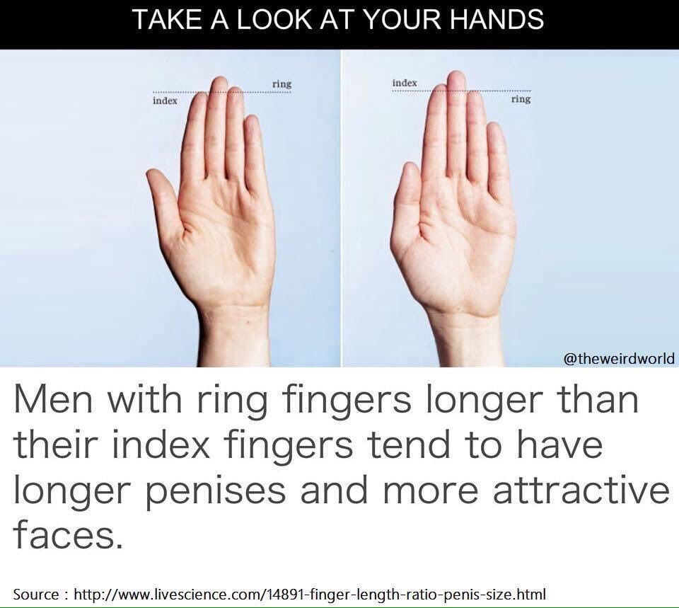 Nicky recommends best of How is dick size determined Top Porn Images Women deepthroating a dildo