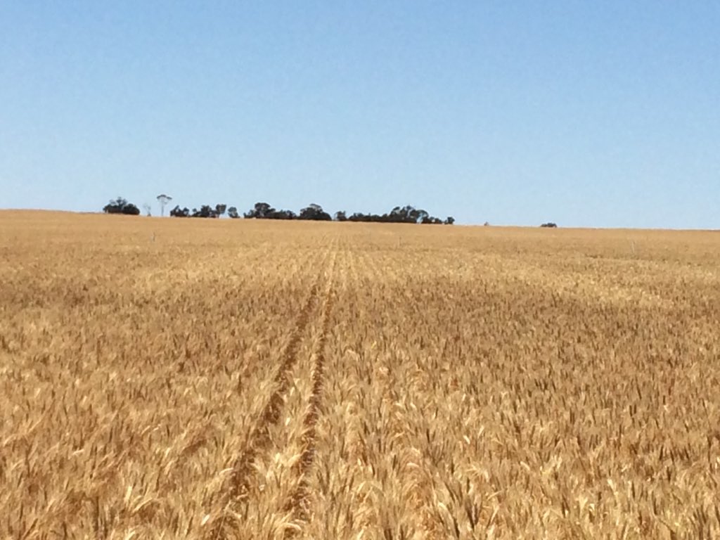 Ben Biddulph tweet media