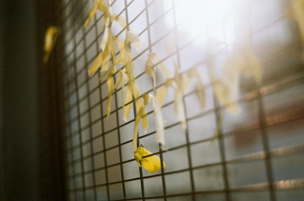 soyjournal's tweet image. Starting with film photography? Here&apos;s what you need to know and where to grab gear in HK: ow.ly/UWSQY