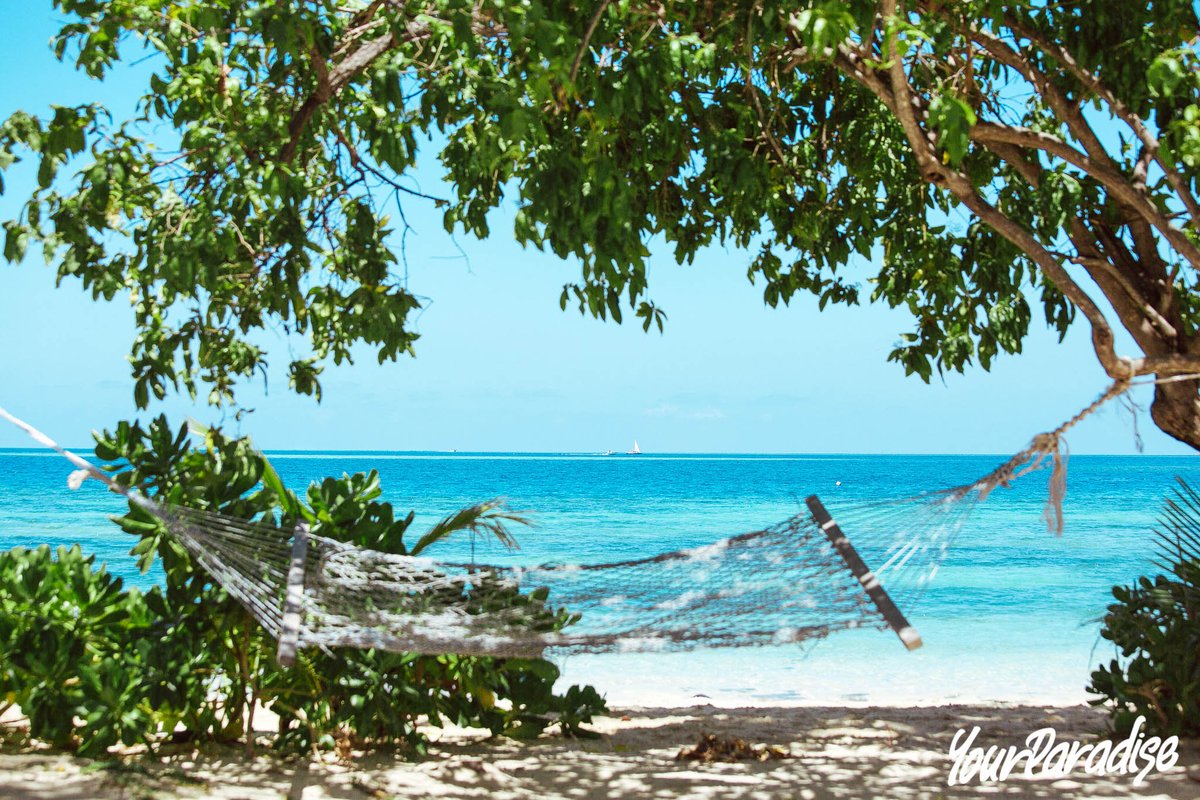 TourismFiji's tweet photo. Our spot for the afternoon... https://t.co/e38ov6v7g5
