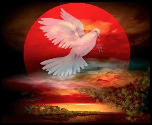 salvadorpano's tweet photo. *Nothing is more precious than peace. Peace is the most basic starting point for the advancement of humanity* https://t.co/dR4sibflm6