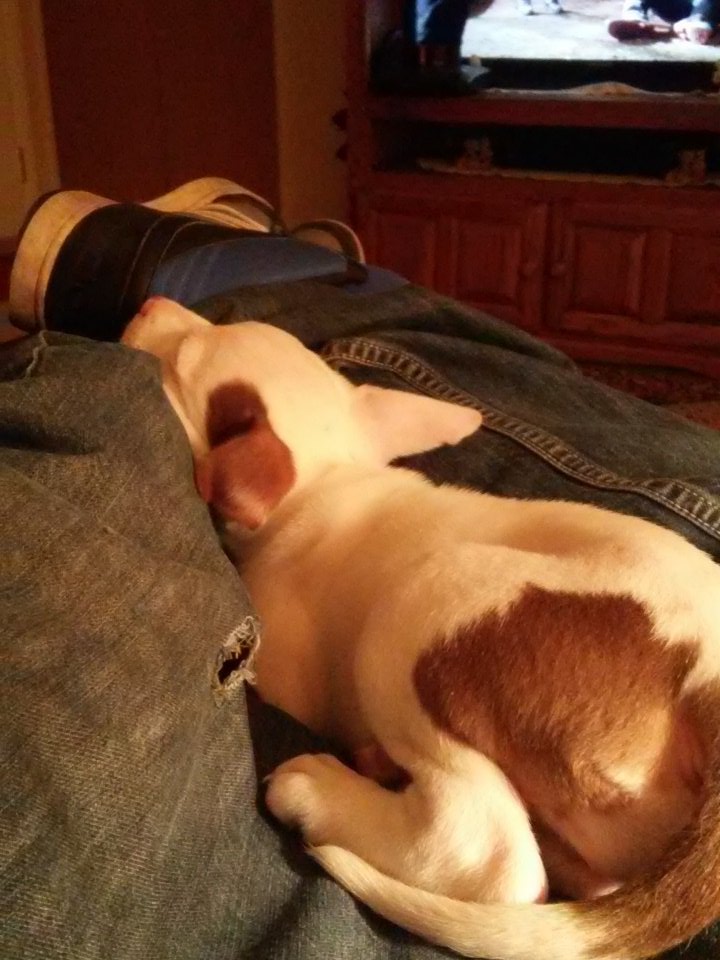 mi57gaming's tweet photo. #showusyourpits https://t.co/q3HTEQZ2ps