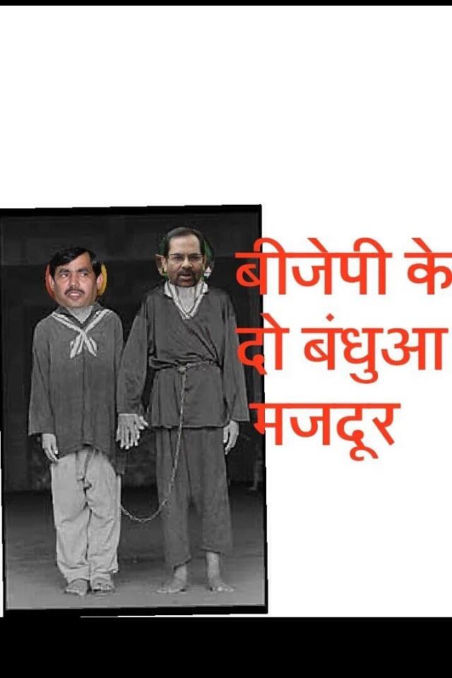 akshay0bhardwaj's tweet photo. #Dogsofmodi https://t.co/UJIdvEakX1