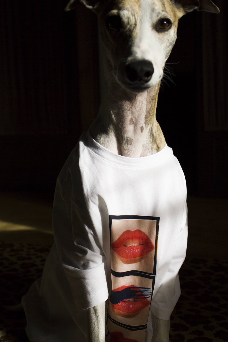APC_KOREA's tweet photo. A.P.C. T-shirts musique, Nicolas Godin 3/4. 온/오프라인 스토어에서 만나보세요. #apc https://t.co/EHu5eWfYCB https://t.co/HecK2EWZAg