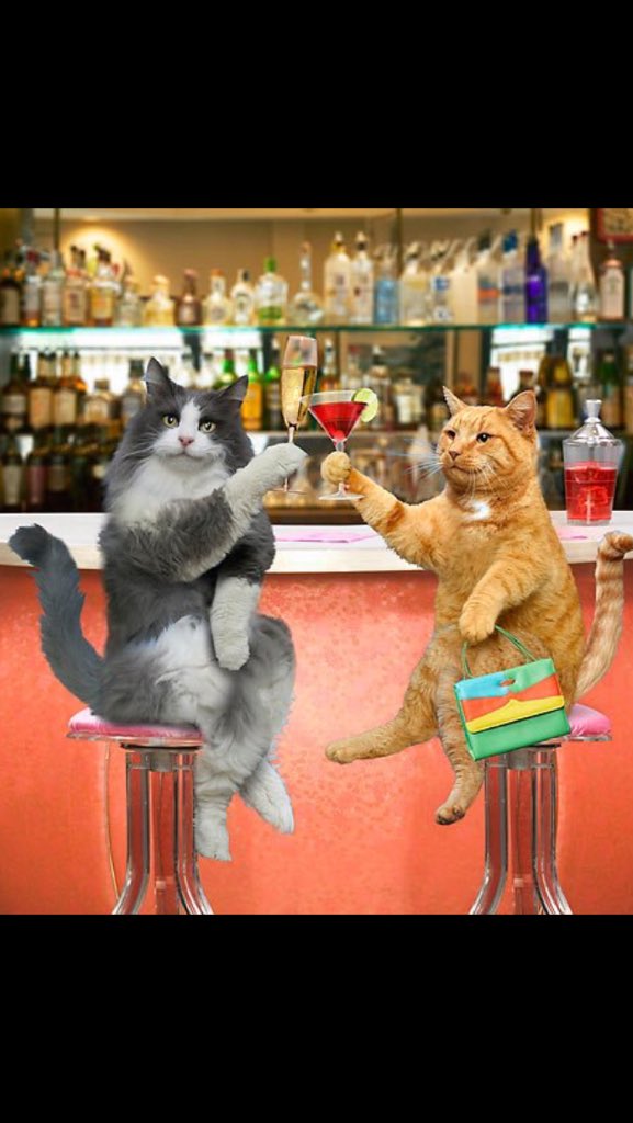 ChDestexhe's tweet photo. Cheers ! And good luck ... #BrusselsLockdown https://t.co/3wQK9Zof9H
