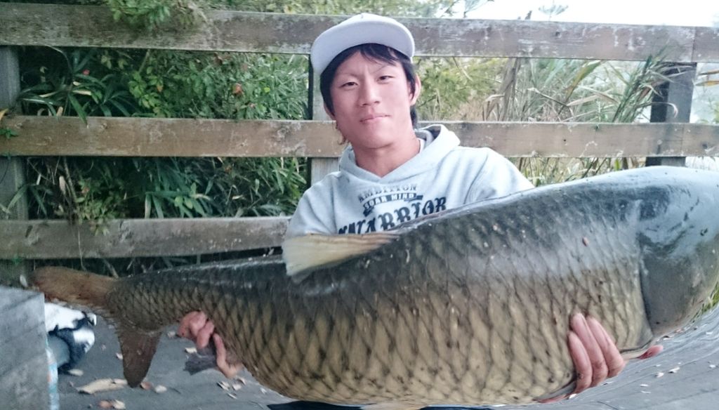 jdepp45661's tweet photo. とったどーーーー！！！
バス釣り早めにおわってから鯉釣りいった！
1メーター4ｃｍと92ｃｍの鯉！
デカ過ぎて怖かった！
デカ過ぎて重すぎて持ち上げれんかった！
20キロはあったんちゃうか！

祝にRTお願いします！！ https://t.co/sibd7flbAC