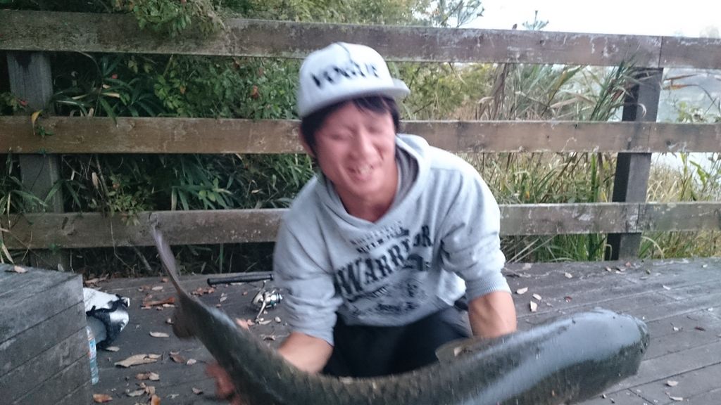 jdepp45661's tweet photo. とったどーーーー！！！
バス釣り早めにおわってから鯉釣りいった！
1メーター4ｃｍと92ｃｍの鯉！
デカ過ぎて怖かった！
デカ過ぎて重すぎて持ち上げれんかった！
20キロはあったんちゃうか！

祝にRTお願いします！！ https://t.co/sibd7flbAC