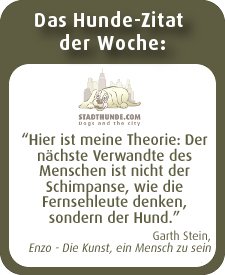 StadthundeCom's tweet photo. Liebe Hundefans,
und auch heute wünschen wir Euch wieder einen guten Start in die neue Woche! https://t.co/iomYb5LuPN