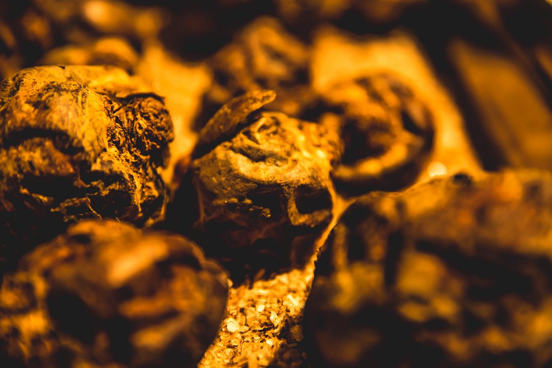 Friedjof Kempenaar tweet media