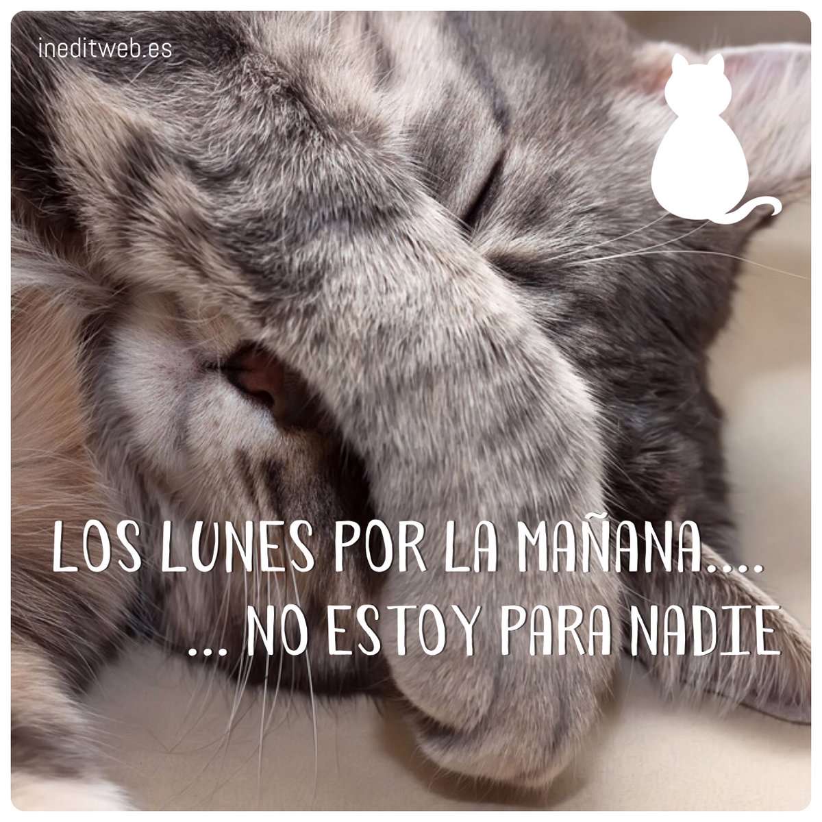 IneditMagazine's tweet photo. #FelizLunes #CaraDeLunes #IneditMagazine https://t.co/hnAezrhpN4