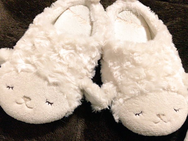cocco_HBC's tweet photo. もこもこもこもこ。 https://t.co/wQJPpijONo