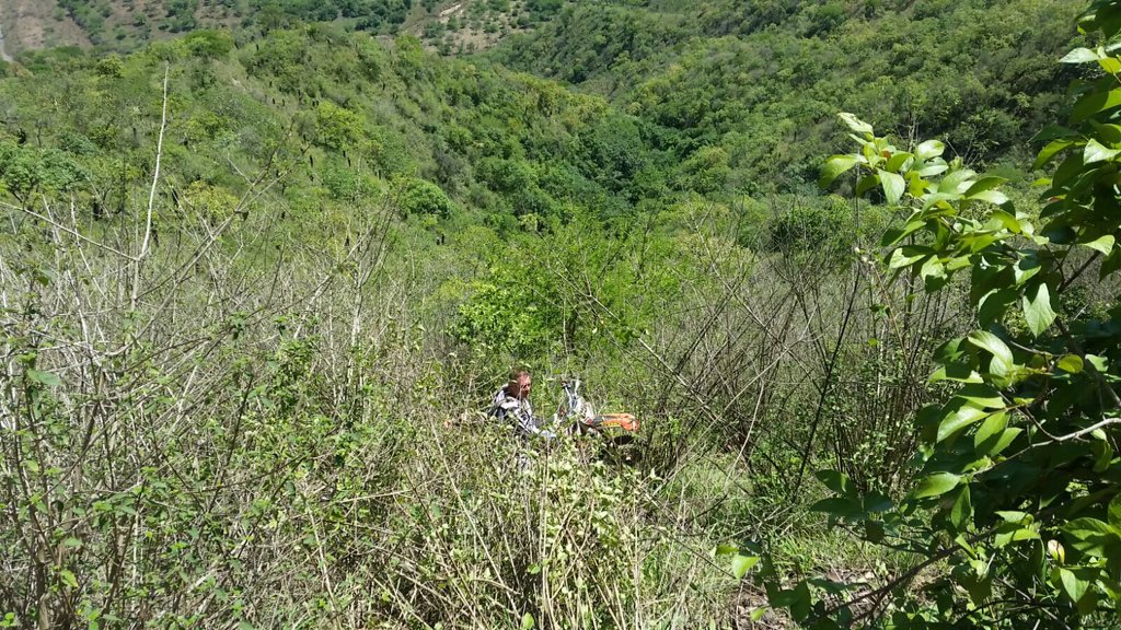 leefitz721's tweet photo. And no the path is not down there 😂😂😂 https://t.co/GyXRd8qeiX