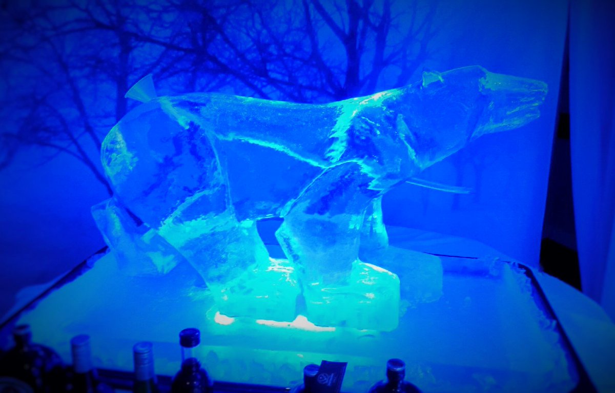 GraemeIce's tweet photo. #polarbear #christmas #icesculpture #icecoldvodka #drinksluge https://t.co/zmRyl4cpHn
