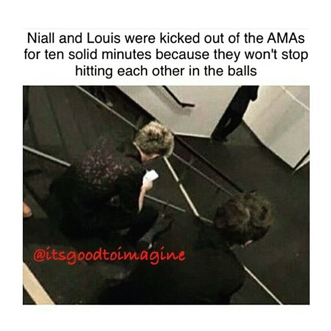 x1DFantime's tweet photo. Awww Babys🙈❤️ These are our boys😍🙌🏼😂 
#onedirection #NiallandLouis #nouis #niallhoran #louistomlinson #AMAs1D https://t.co/42fVAvn4nU