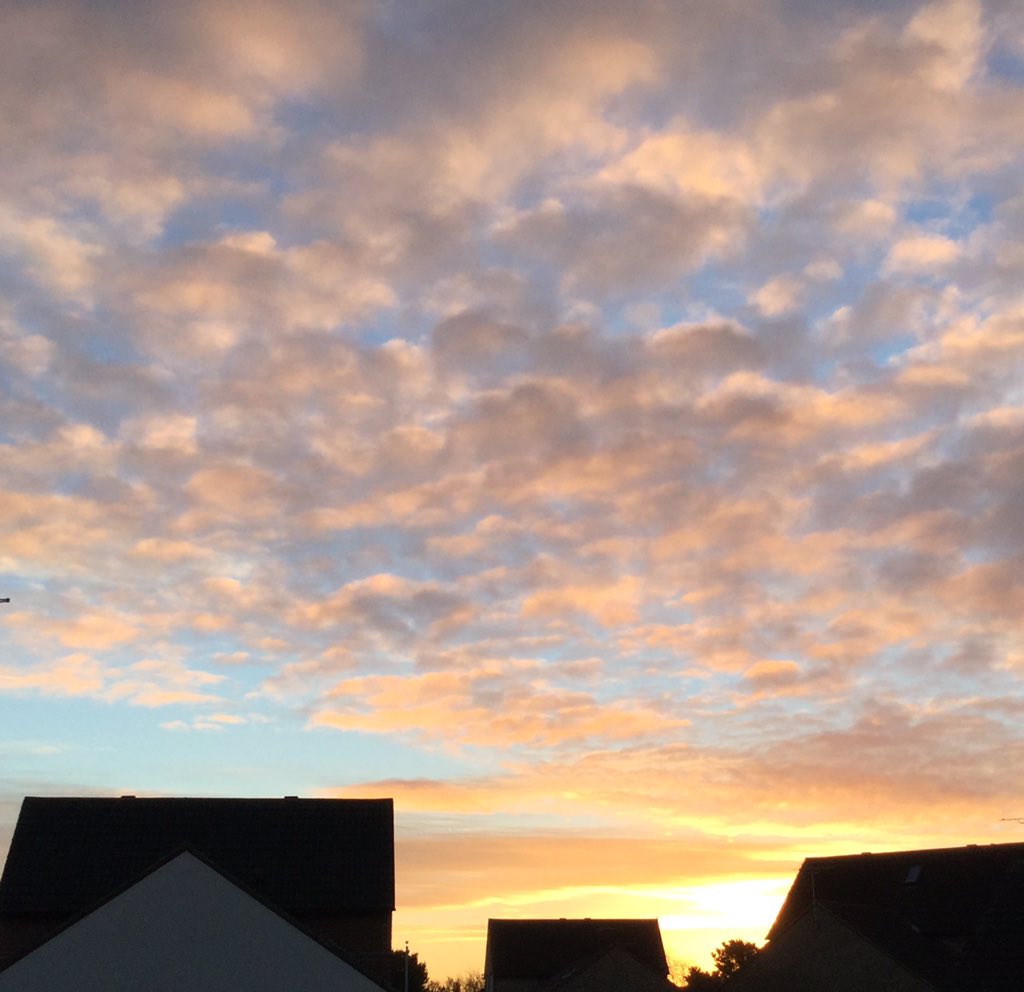 sallyscott55's tweet photo. @GlenOrioleglen more bright skies glen, sunrise over the rooftops. Feels so good to see our friend the sun! https://t.co/iCcKJwWQK1