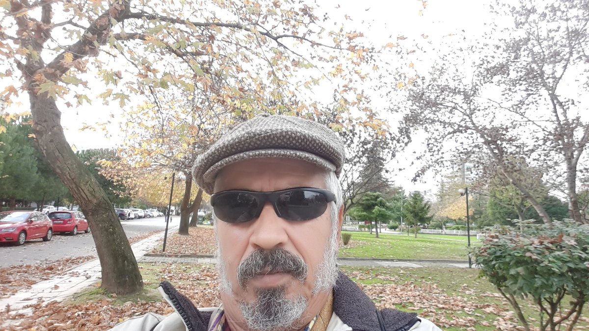 ErkanKiraz's tweet image. #Autumn, #ColorConversion, #20151123, #Sonbahar, #RenkDongusu, #AbdullahOfluoglu, #ErkanKiraz, #YKM, #Izmit II