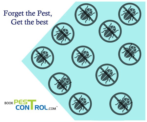 BookPestControl tweet picture