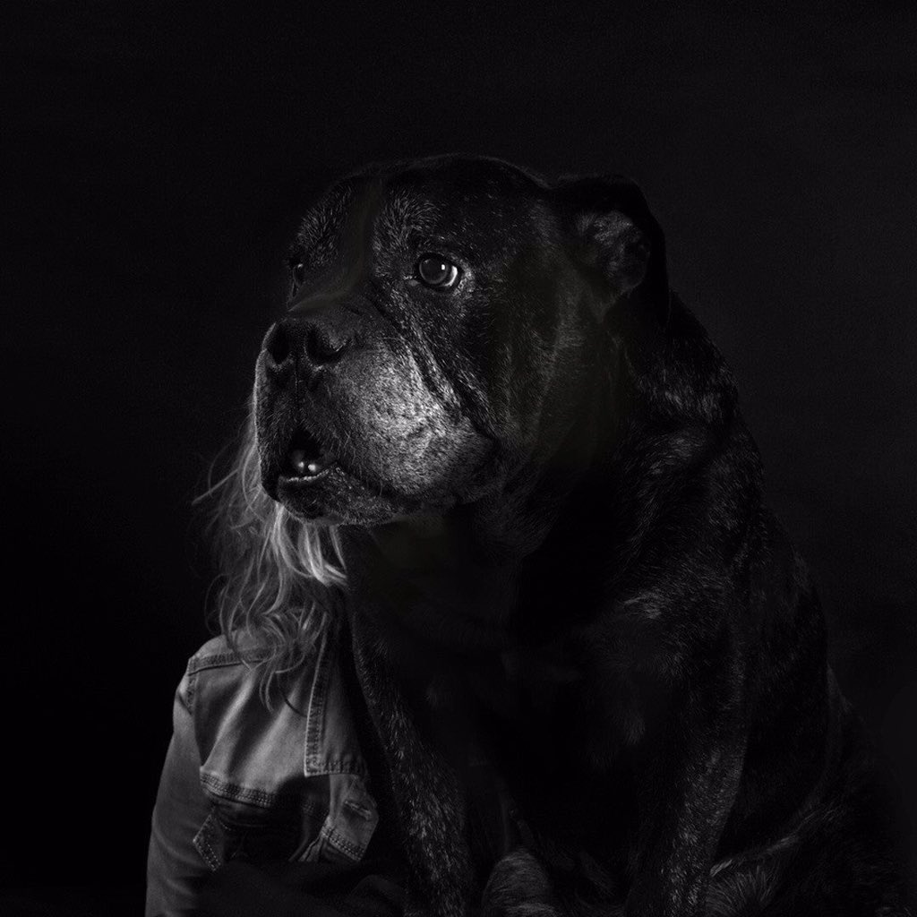 Patricia van de Camp wordt al jaren achtervolgd door een zwarte hond die depressie heet: bit.ly/1MZkNc4