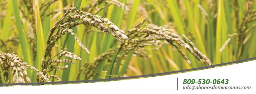 abodomrd's tweet photo. #Abodom es una empresa fabricante de fertilizantes químicos y físicos. 
#CalidadQueProduce https://t.co/HYu2IQTuAQ