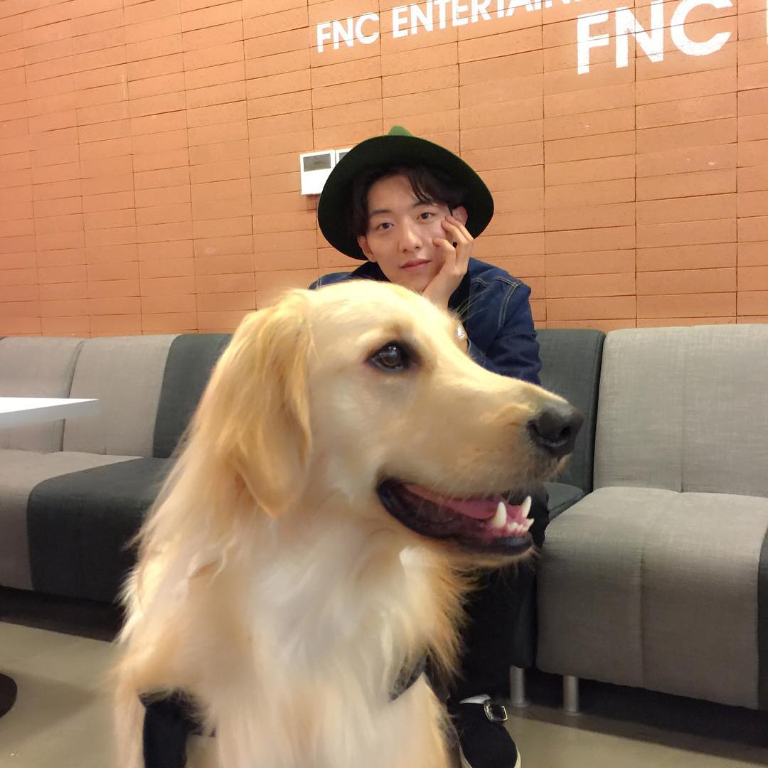 埋め込み画像への固定リンク