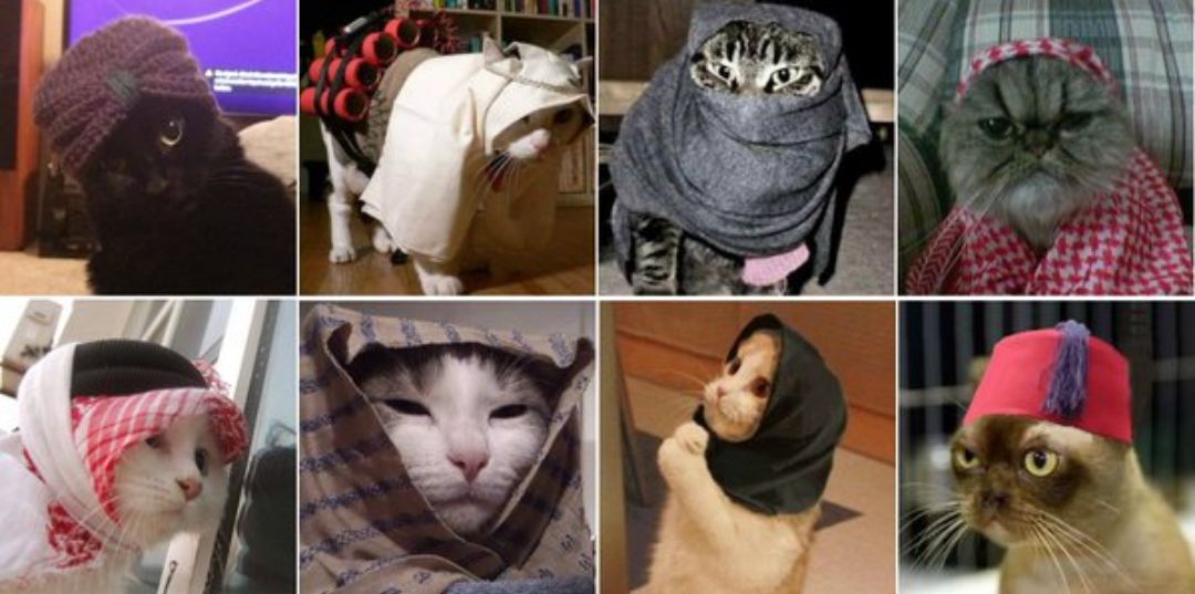 Michis terroristas,respuesta de los Belgas a la policía en Twitter 😂😂 #BrusselsLockdown