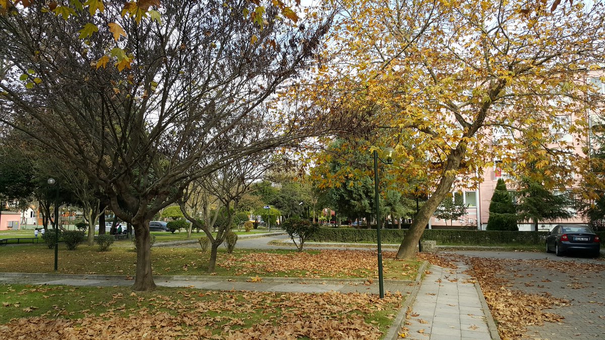ErkanKiraz's tweet photo. #Autumn, #20151123, #Sonbahar, #RenkDongusu, #ColorConversion, #AbdullahOfluoglu, #ErkanKiraz, #YKM, #Izmit I https://t.co/TfJg5vezK4