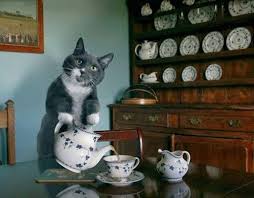 _CrazyCue's tweet photo. vous l'avez bien merité @CrisiscenterBE  #BrusselsLockdown https://t.co/1eCipmCuGG