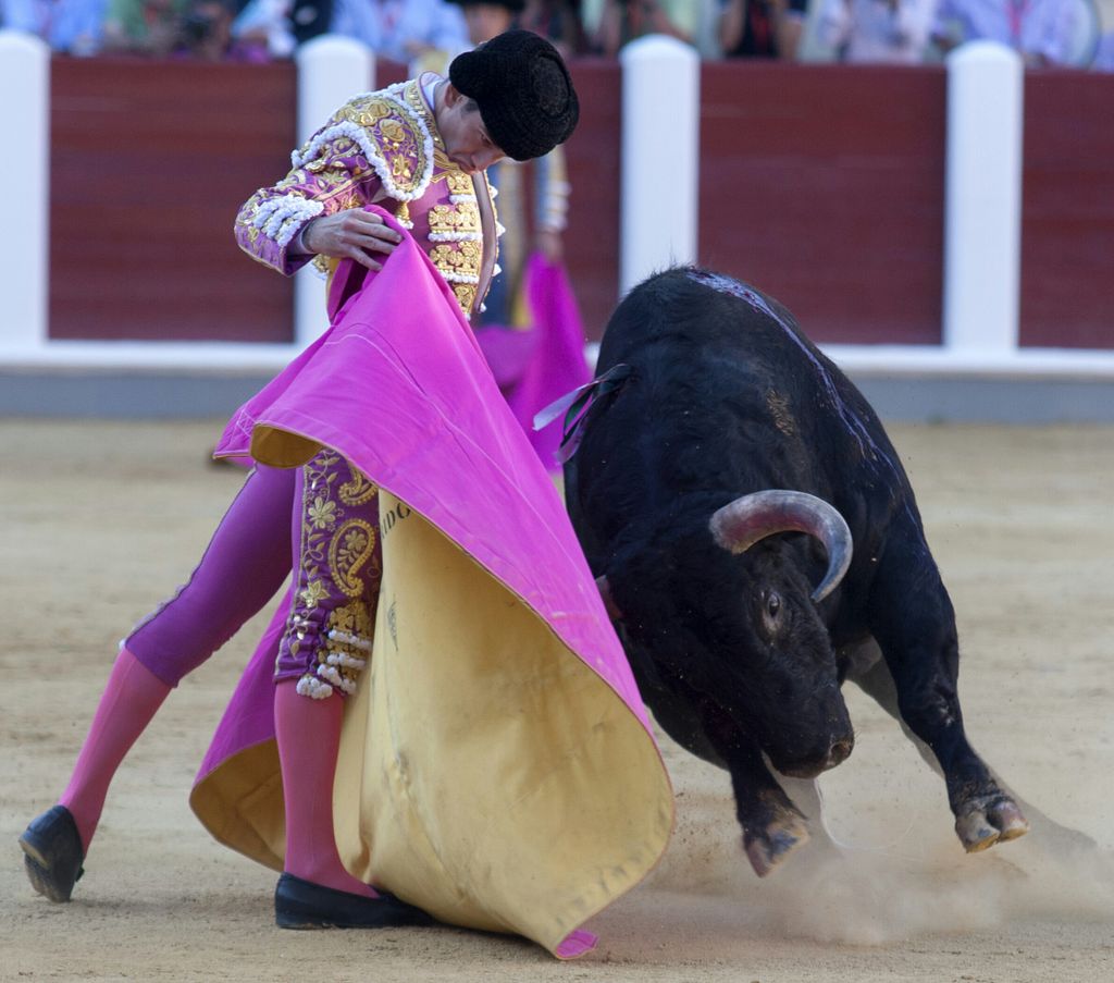 infojosegarrido's tweet photo. Torería... https://t.co/85ZzMGII4Y