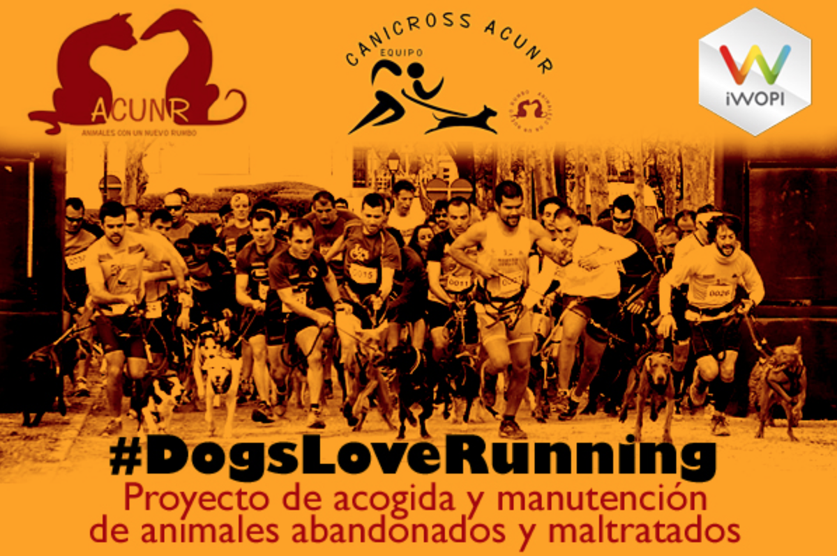 iWOPI's tweet photo. ¡#DogsLoveRunning a 10.000 km’s de
ser completada!
Hoy todos con los perretes, a ver si al cerramos
¡🐶! https://t.co/vQji0n2kQM