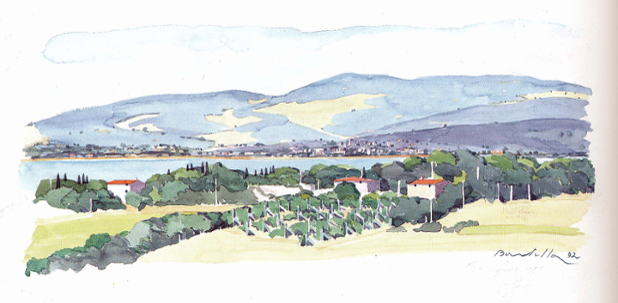 Musei di Magione tweet media