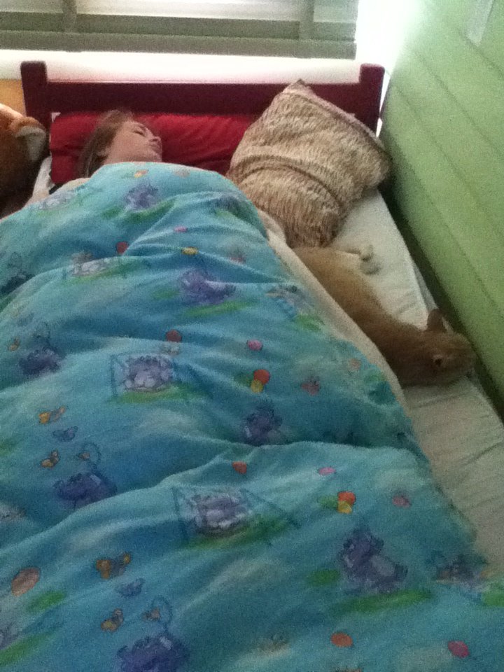 Krissybabe99's tweet photo. My little sister and my cat!! 😍 https://t.co/kPqhv2lf2T