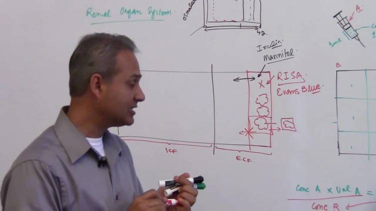 Neil Palin tweet media