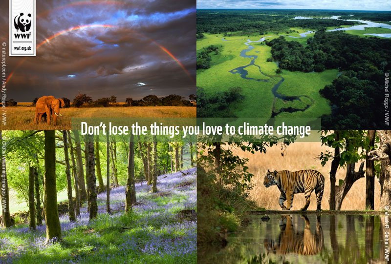 wwf_uk's tweet image. It’s time the world took action to protect our one planet. It’s the only one we’ve got. RT if you agree #COP21