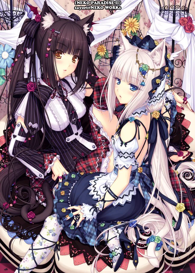 さより@ネコぱら on X: 