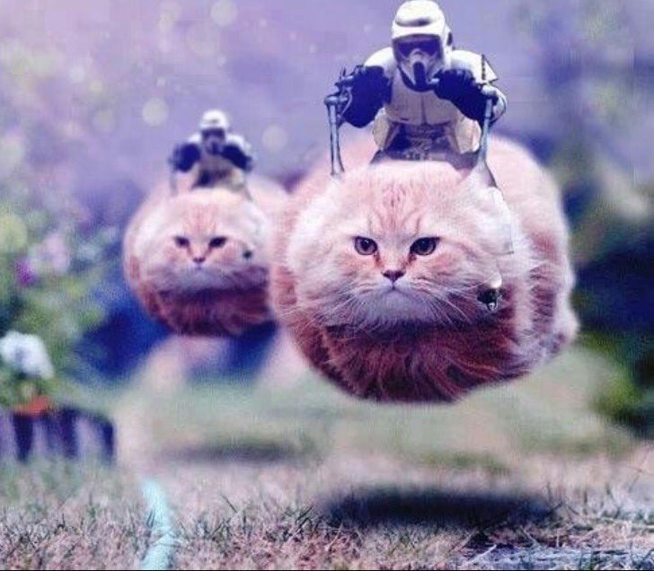 I want a hovercat. #xmaslist