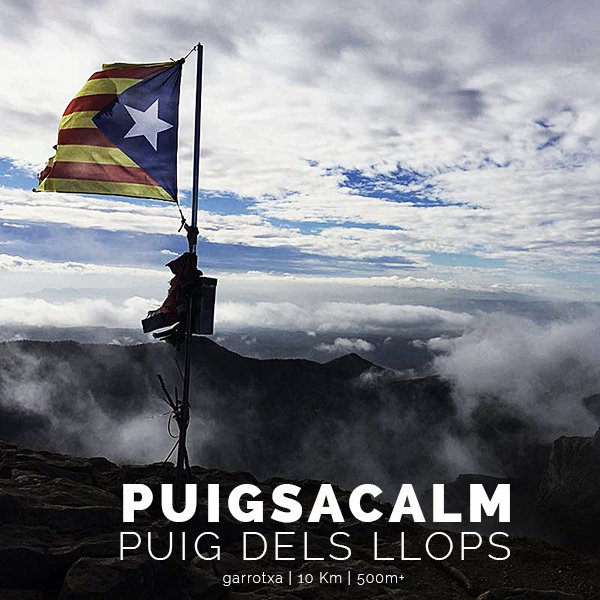 TRESCANTrutes's tweet photo. Puigsacalm, Puig dels Llops 10Km 500m+  #garrotxa
https://t.co/dGbEtQjRdu https://t.co/kshdJpTK0d