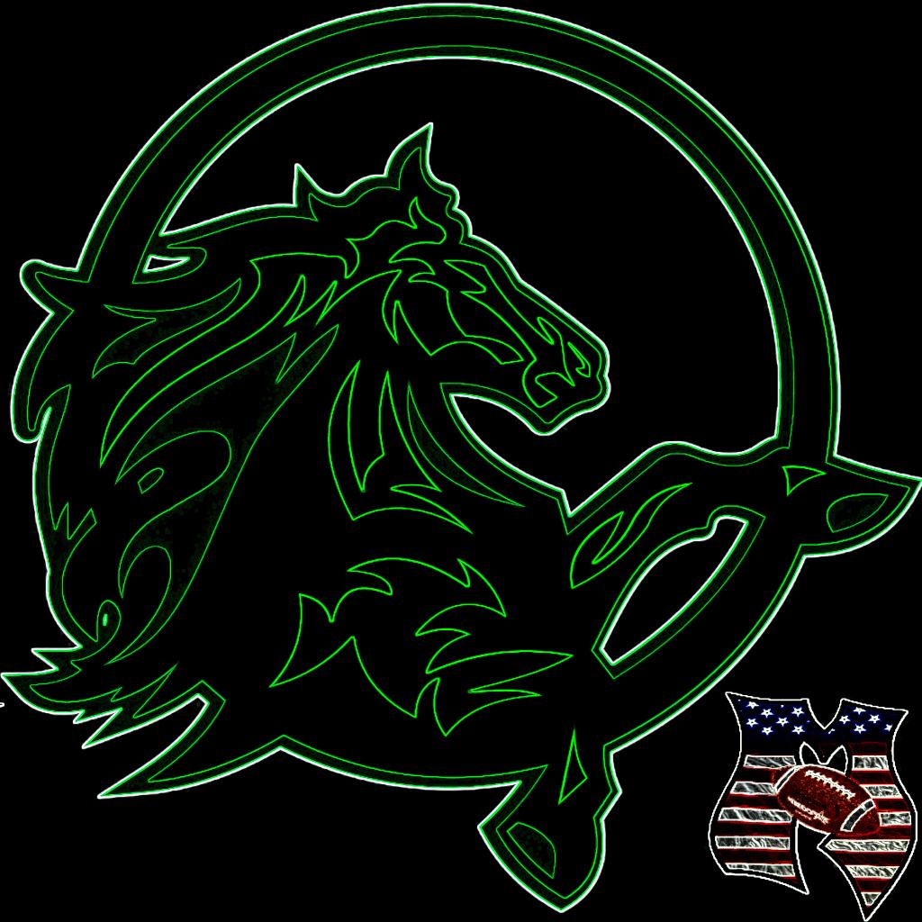 CFAMustangs1's tweet image. Entrenamientos  Mixto en Aguilas"Murcia", LUNES Y MIERCOLES
DAVID TFNO: 666 601 141 
E: mustangs.cfa@gmail.com