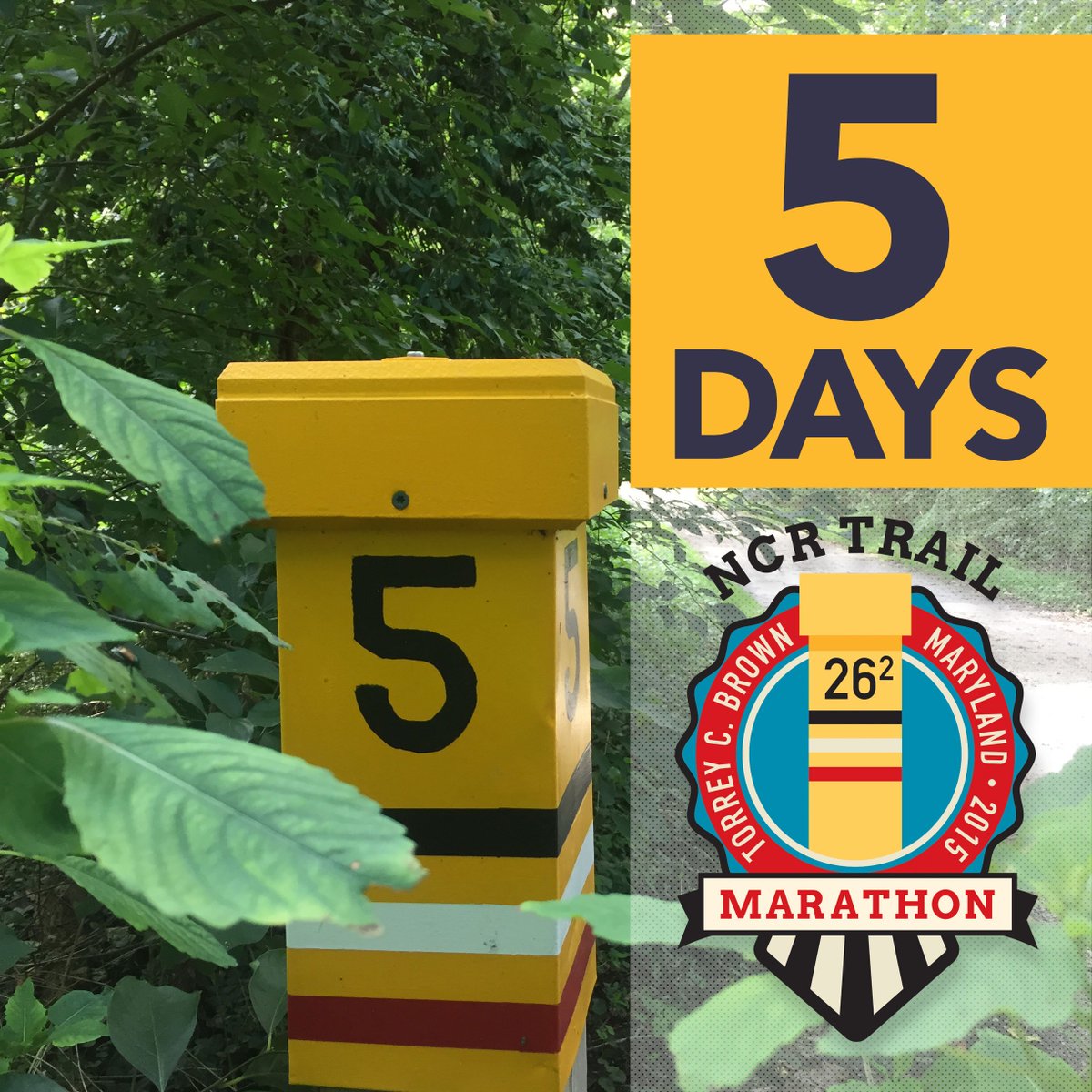 NCR Trail Marathon tweet media
