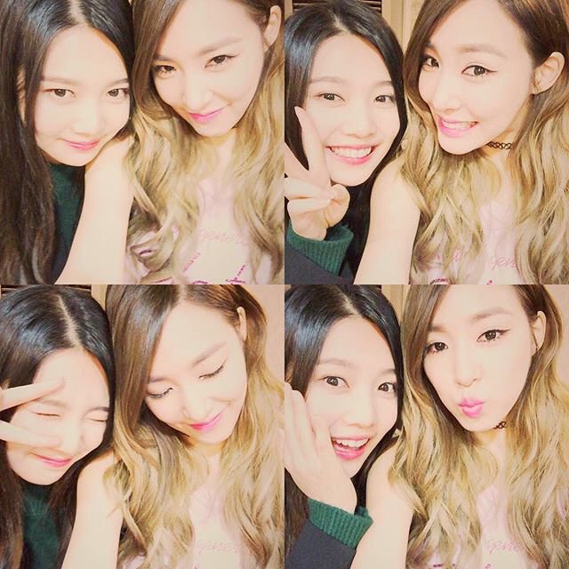Bb__bom's tweet photo. じょいことてぃぱにとか俺得すぎてこれでたとき叫んだ https://t.co/ML2tUbI9wv