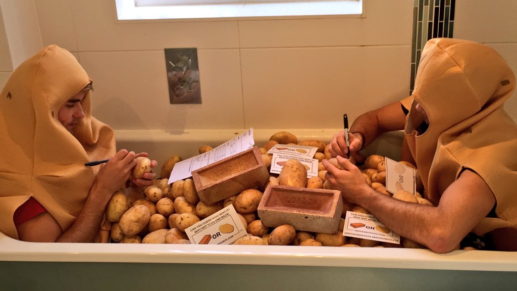 BrickOrPotato's tweet photo. Another busy week at the office...

Get sending now for delivery this week:
https://t.co/2x4cpR9yBZ https://t.co/YzaXNkSDY8