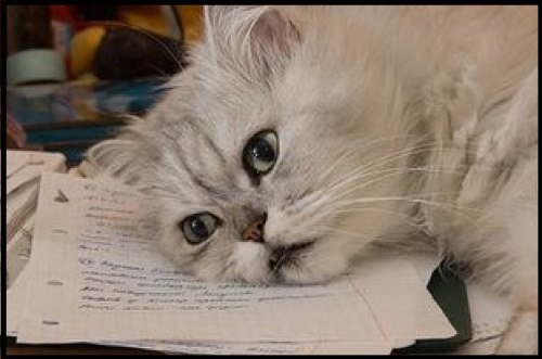 OutreachAtBath's tweet photo. #UCASPersonalStatement getting you down? Last chance for a review @UniofBath and @BathSpaUni Wed 25 Nov 4.30-6pm https://t.co/j8S6Vwfdoq