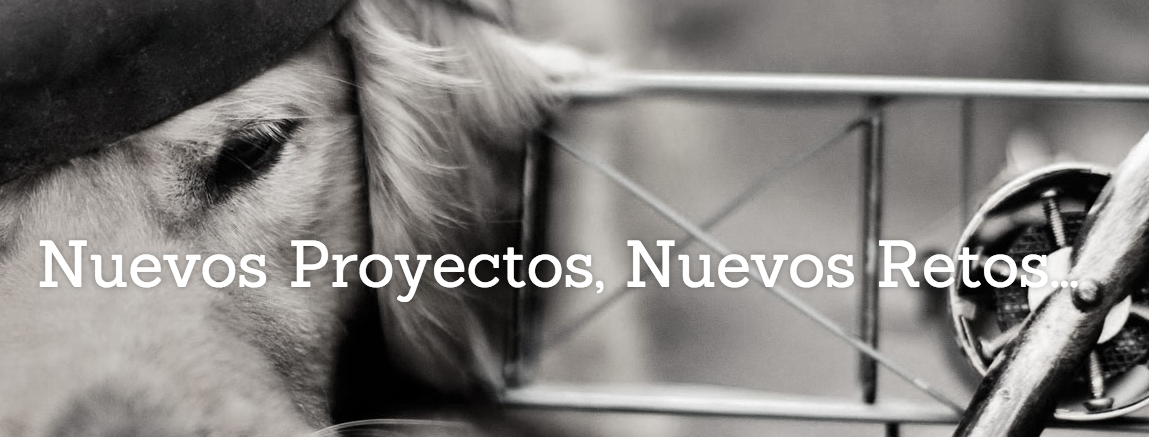 MediacanProducc's tweet photo. En Mediacan no paramos de aprender, de innovar, de mejorar... https://t.co/VPdxYwrmwz