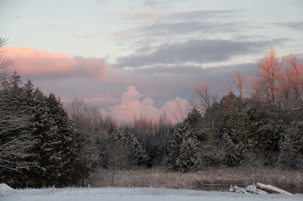 DowneyLaurie's tweet photo. A beautiful winter morning in the Kawarthas. #happymonday #kawarthalakesnaturally #downeyville @kawarthalakes https://t.co/BVX88xZiXh