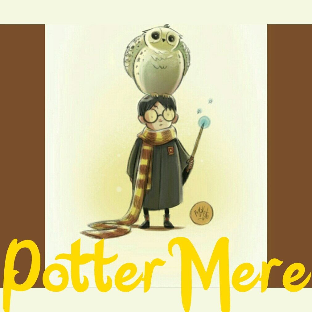 PotterMere tweet media